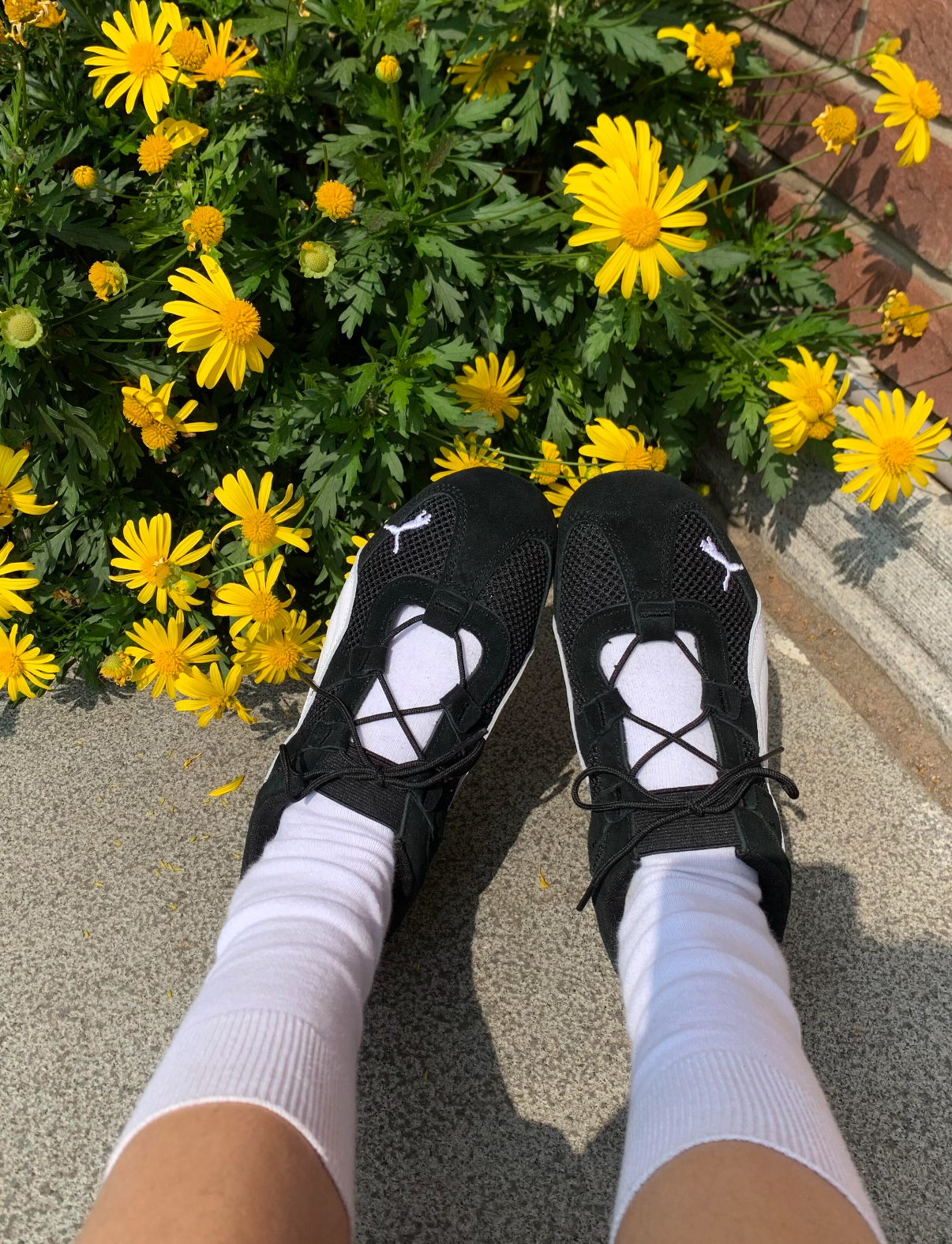 Puma Speedcat GO 賽車鞋 芭蕾舞鞋 涼鞋 休閒 黑色 黑白 麂皮 女鞋 403589-01/預購