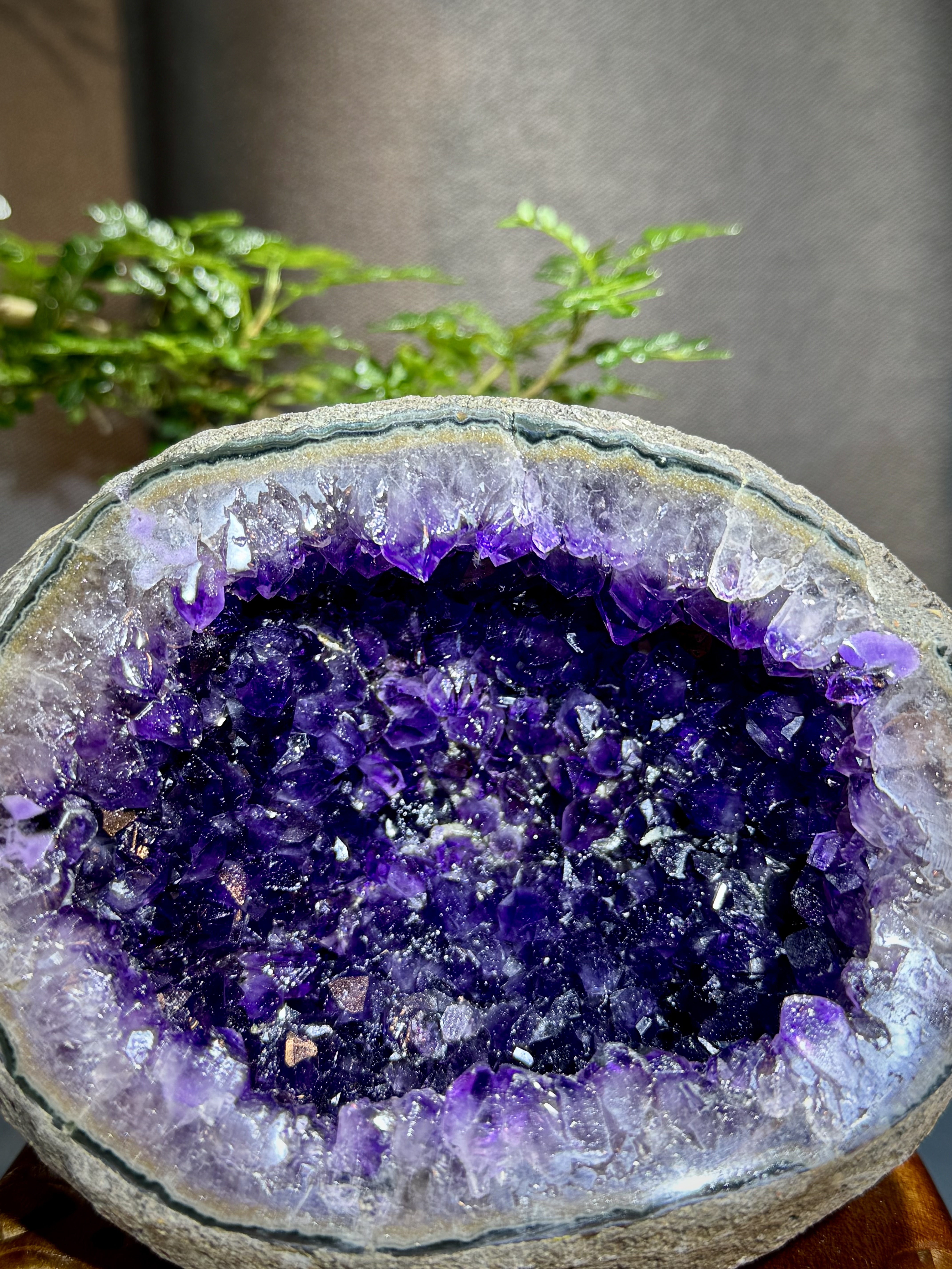 帝王紫水晶晶洞 7016