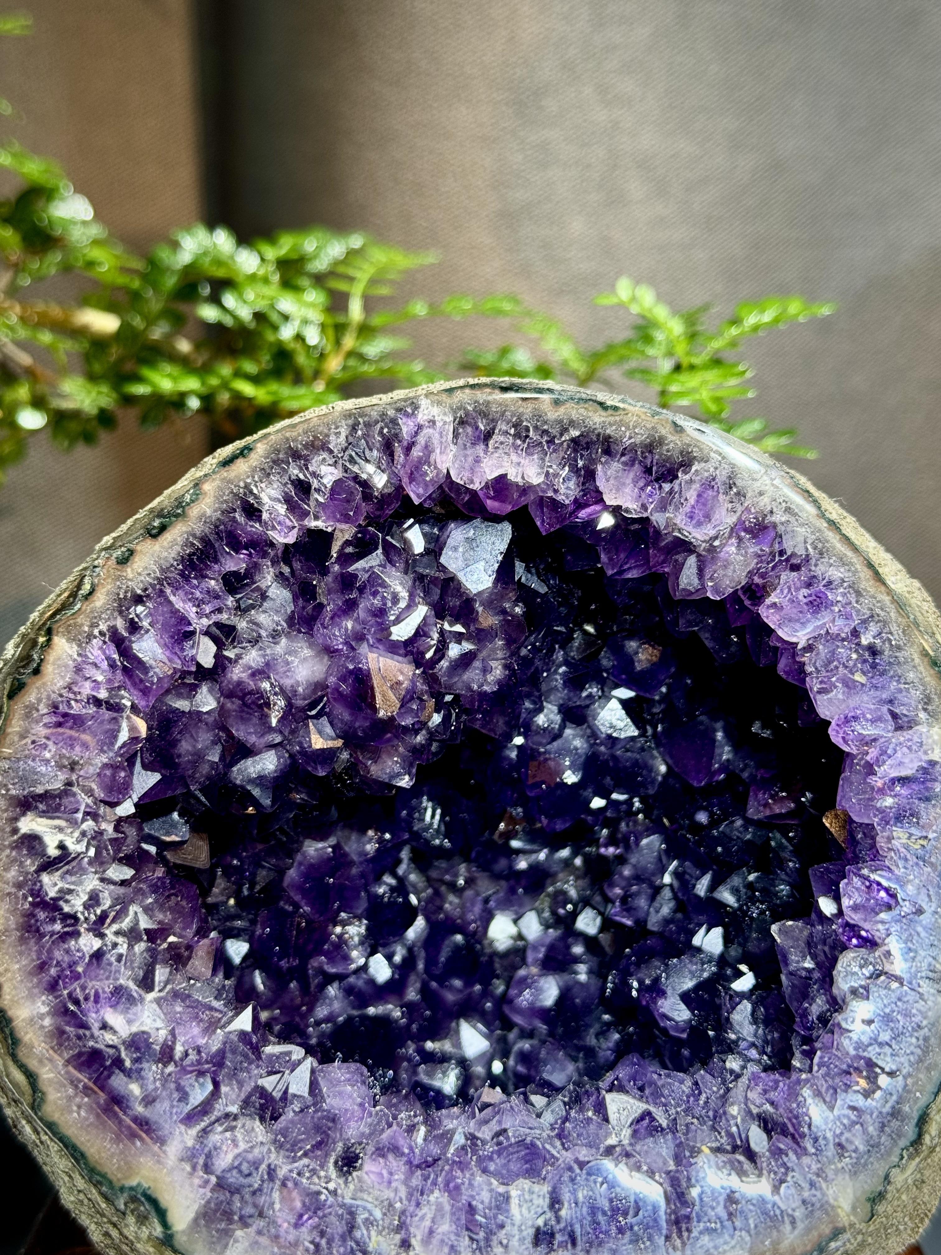 帝王紫水晶晶洞 7019