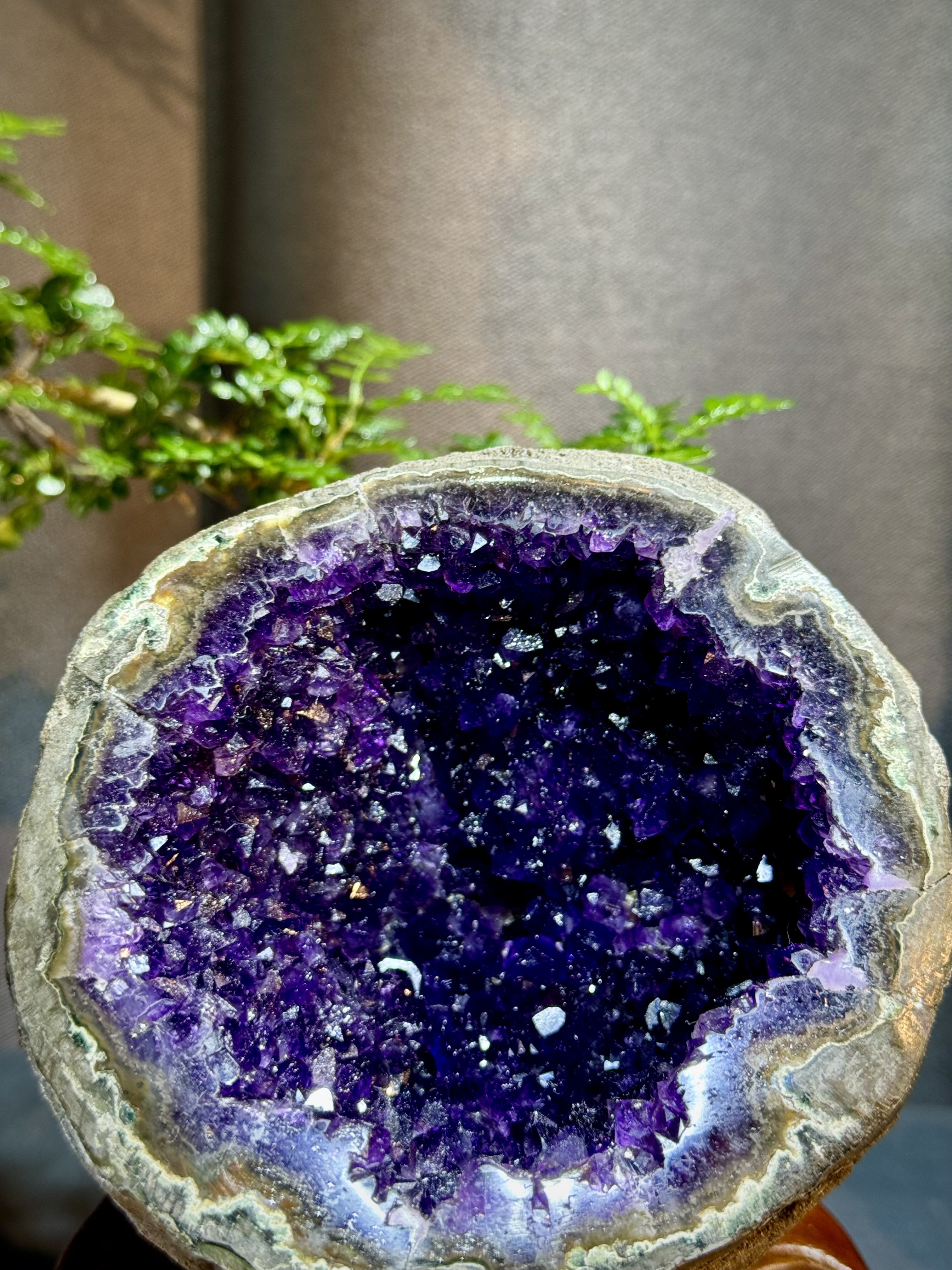 帝王紫水晶晶洞 7022