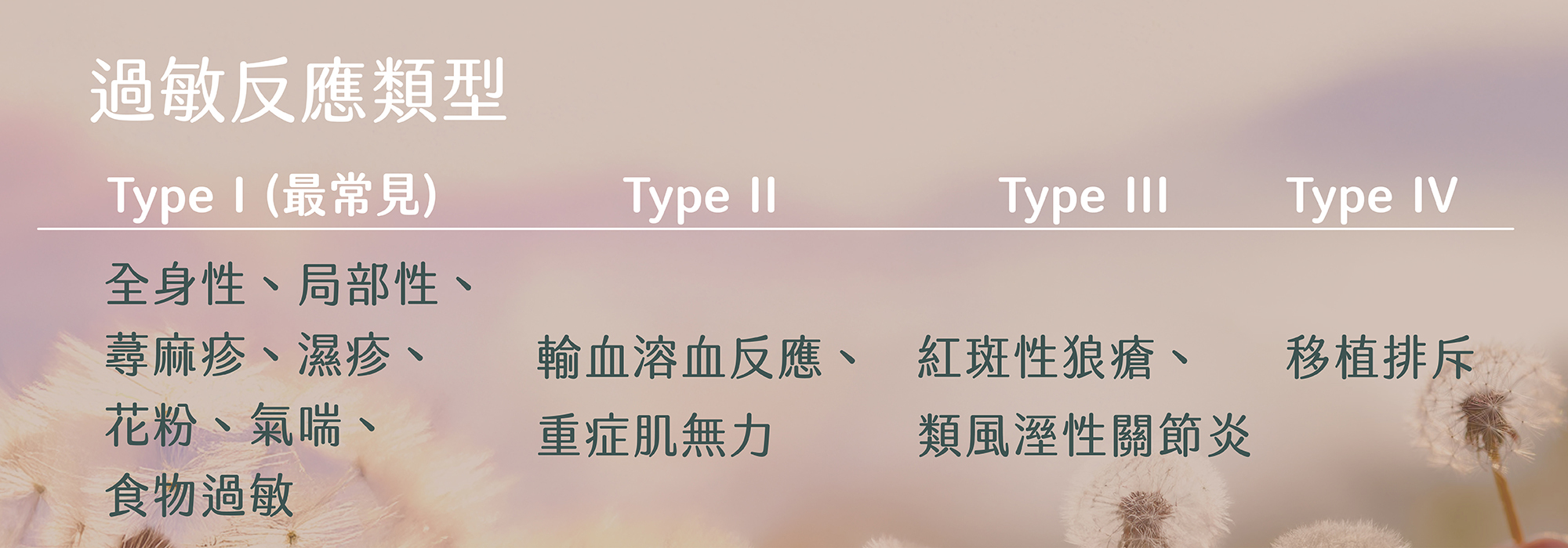 第一型過敏反應,IgE抗體,過敏機制,免疫系統誤判,過敏原識別