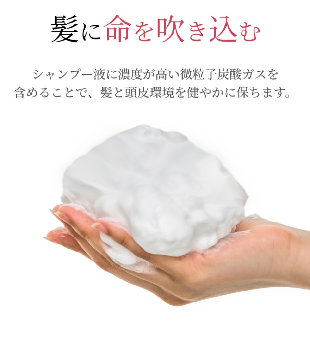 【5折爆抵價】JP Hairju 有機植物閃亮超濃厚泡泡洗髮液 鳶尾花小蒼蘭香味 200g 0059 TK250518