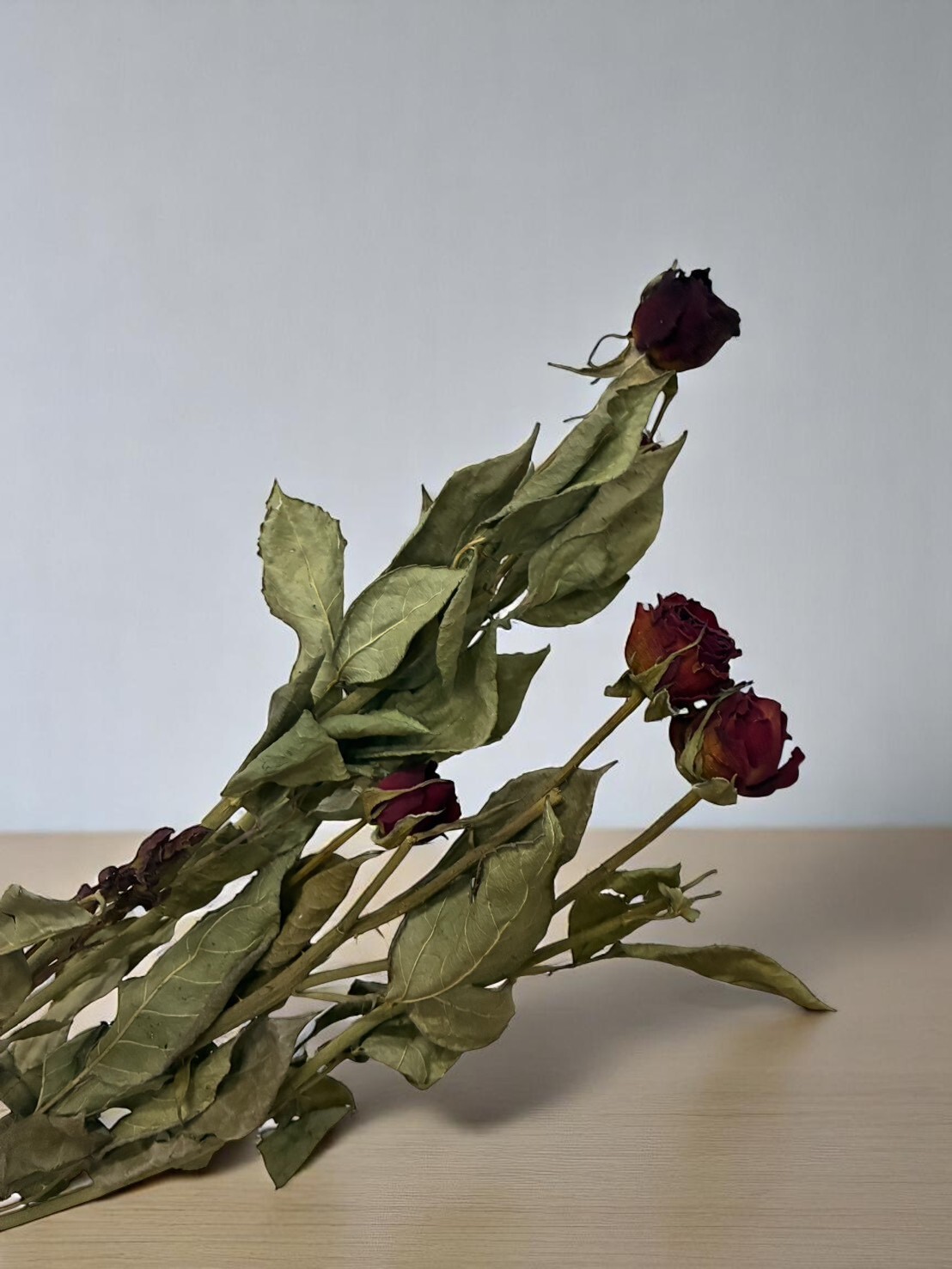一束乾燥花