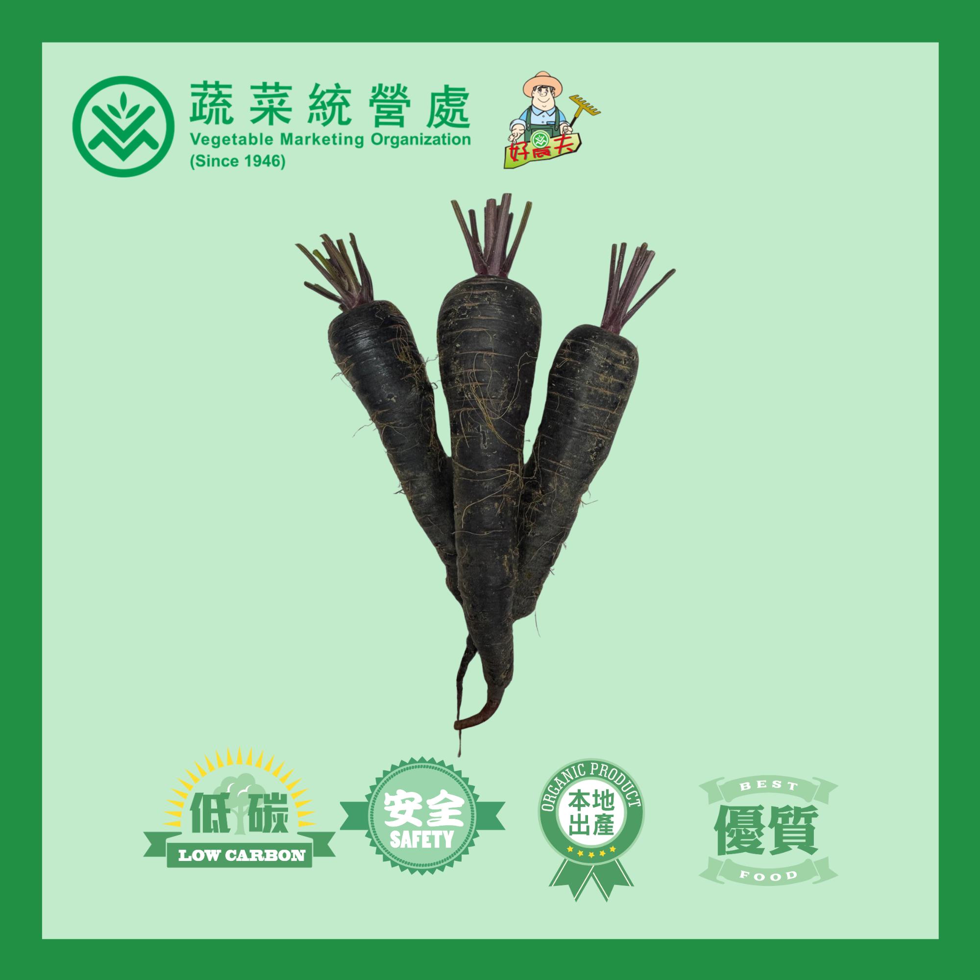 本地有機紫甘筍 (斤)