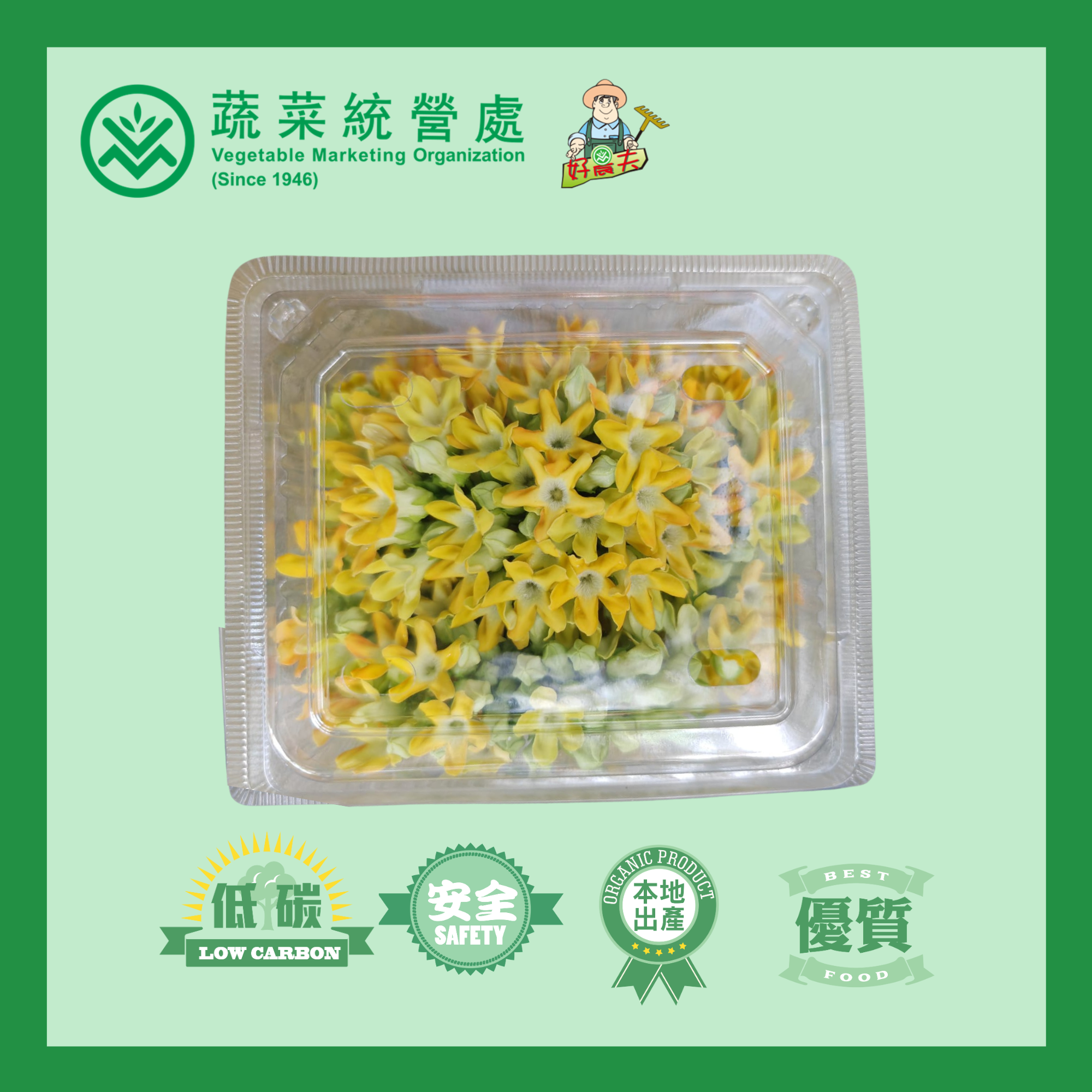 有機夜香花（65g/盒）