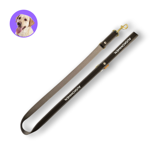 Auskommen牽繩 鉑金黑