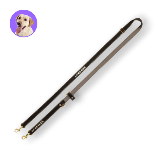 Auskommen牽繩 鉑金黑