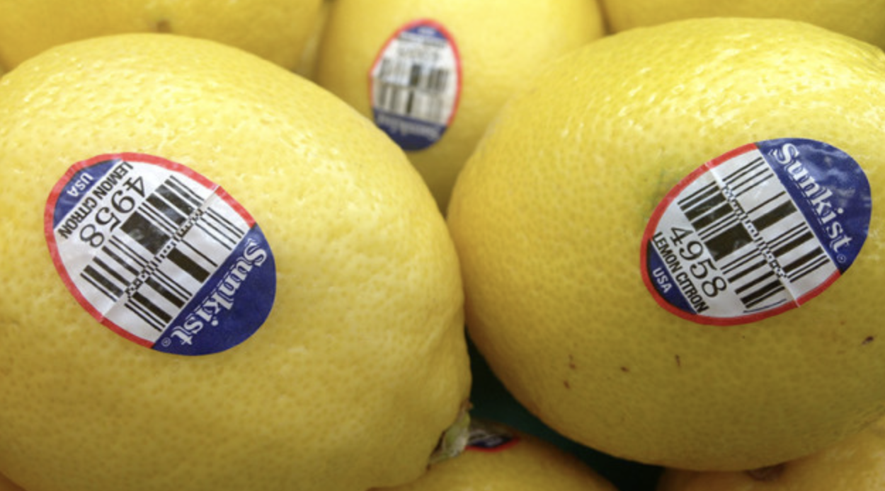 食物知情權網站