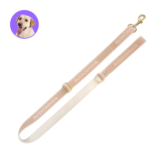 Auskommen牽繩 玫瑰金