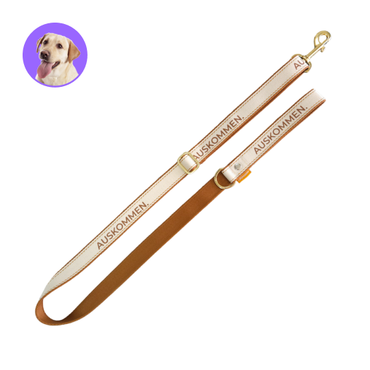 Auskommen牽繩 典藏款