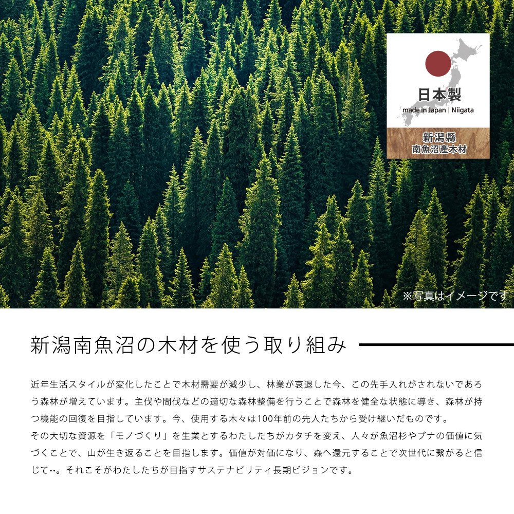 《adachi》rootis系列日本製不鏽鋼廚房抽屜式收納櫃(附木托盤×2)