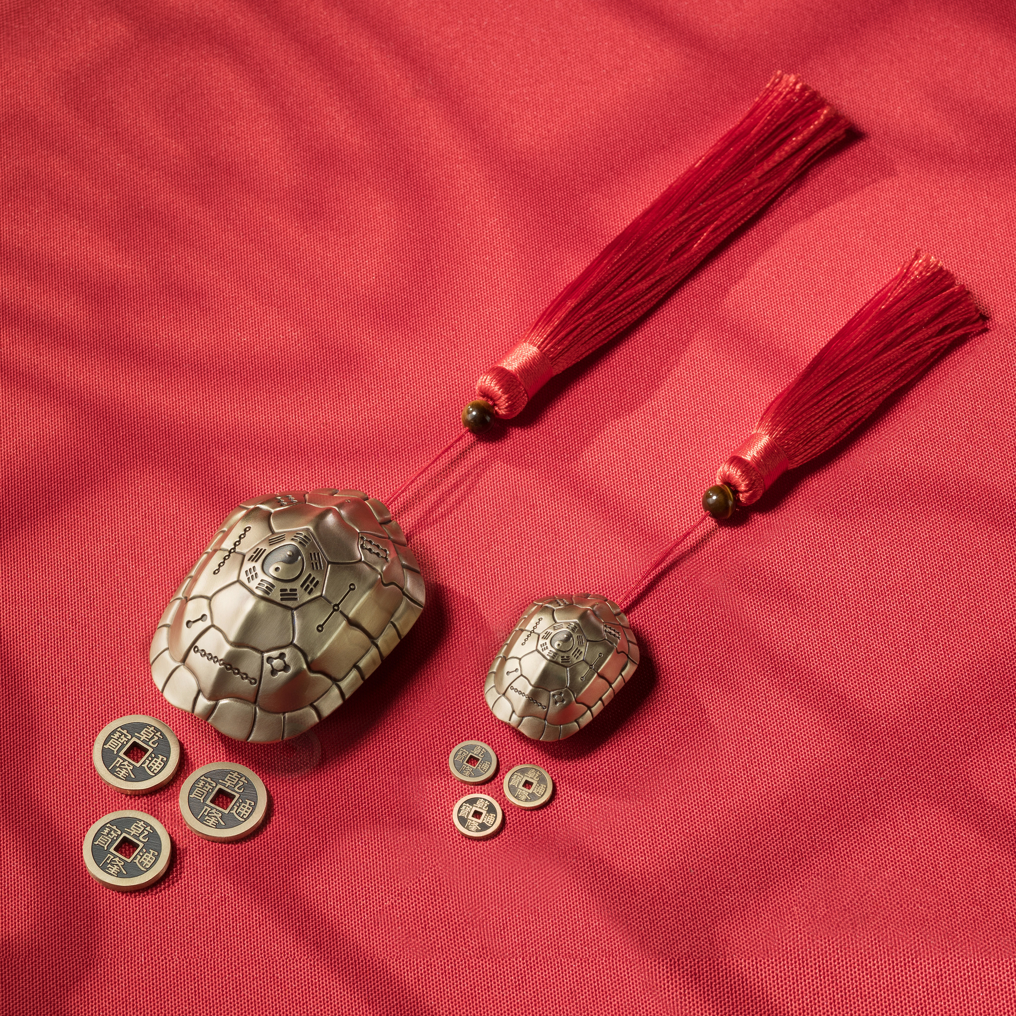 武當聯名龜卜卜