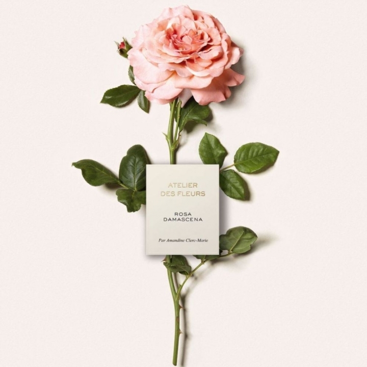 Chloe 仙境花園系列香氛 Rosa Damascena 大馬士革玫瑰之心淡香精 50ml