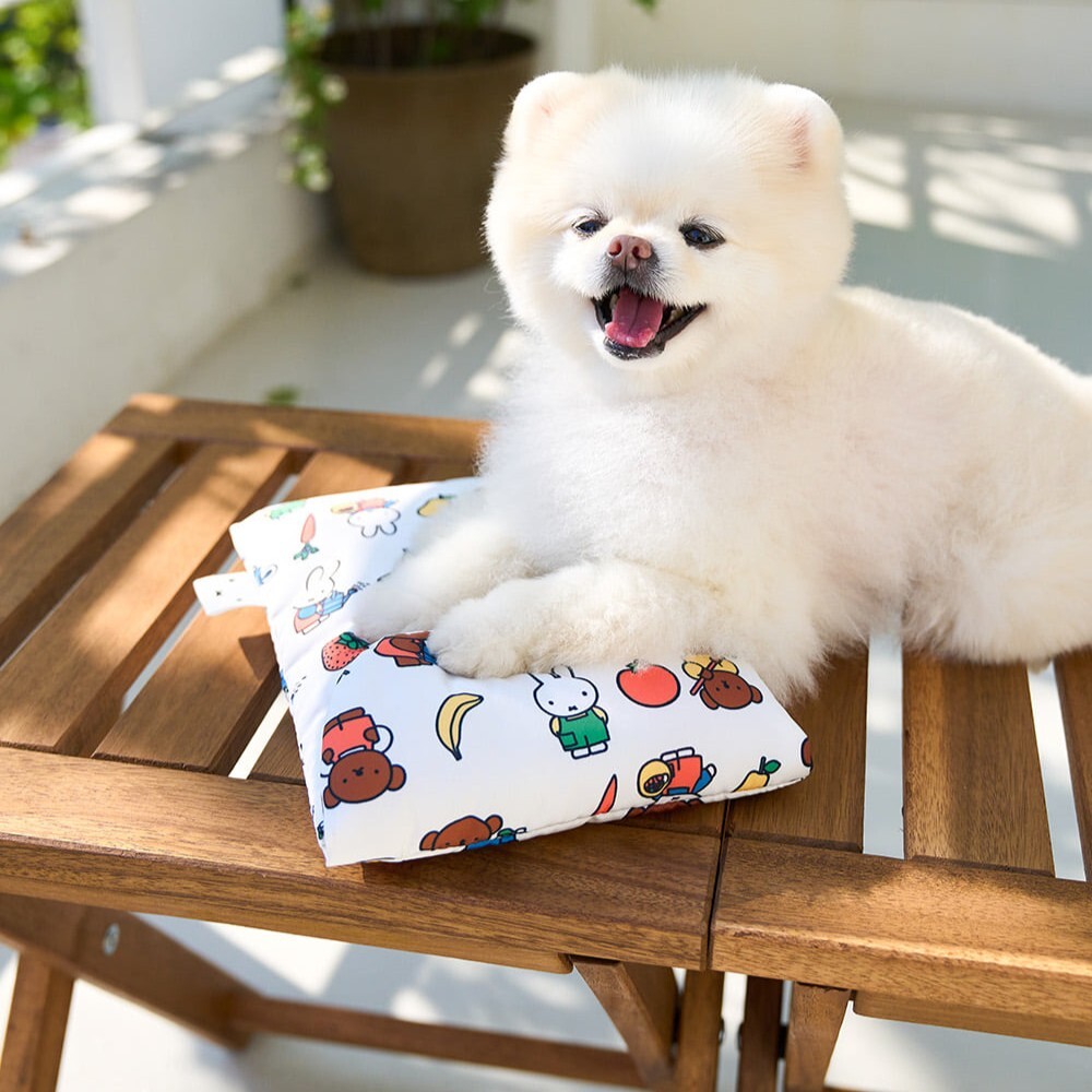 Noutti Miffy 水果園冰枕套