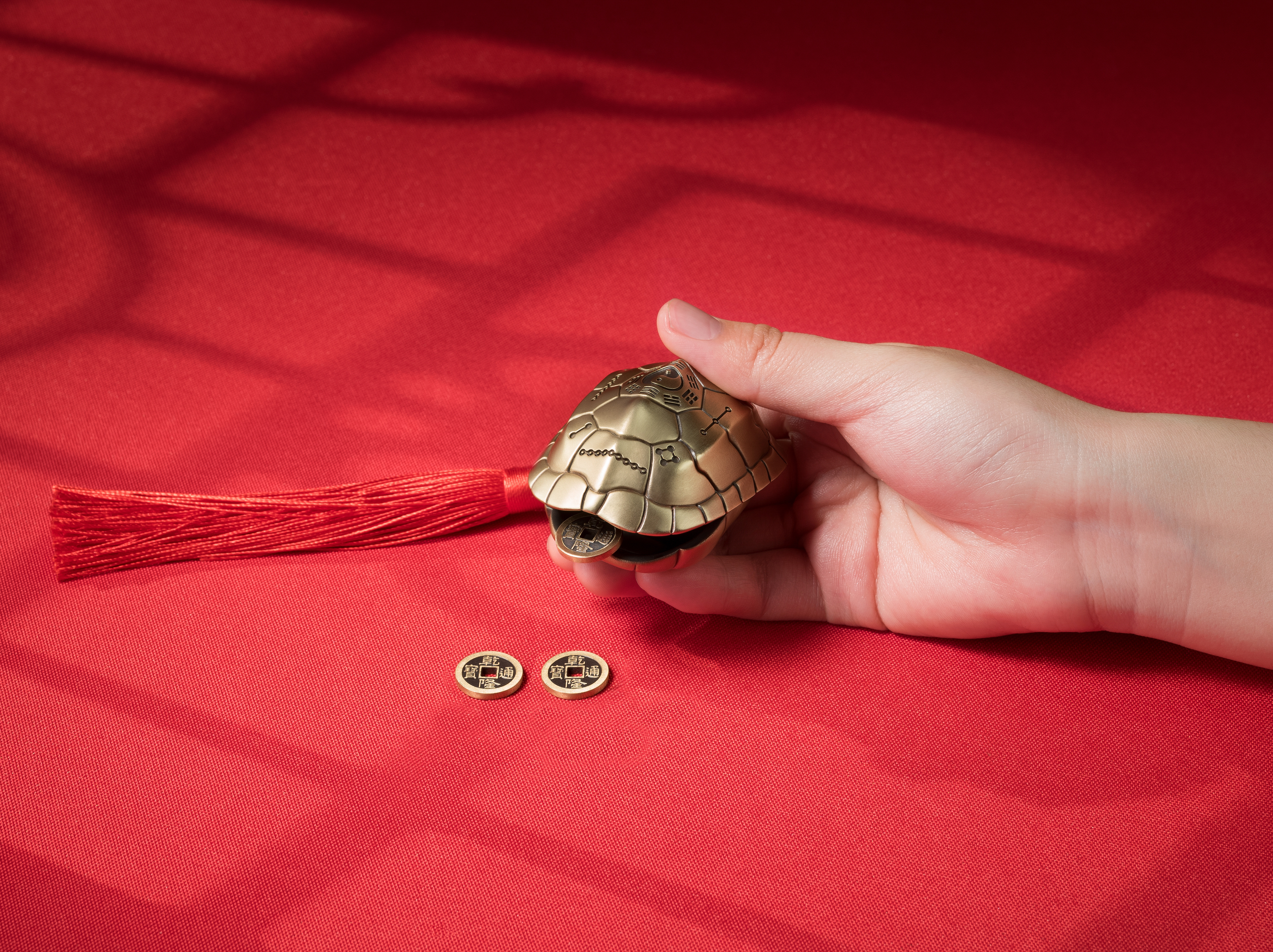 武當聯名龜卜卜