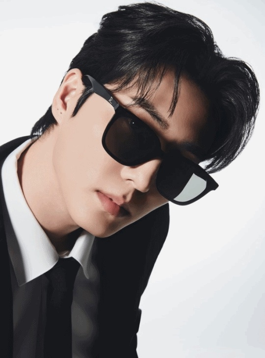 RECLOW RC LAND RLOGO SUNGLASS