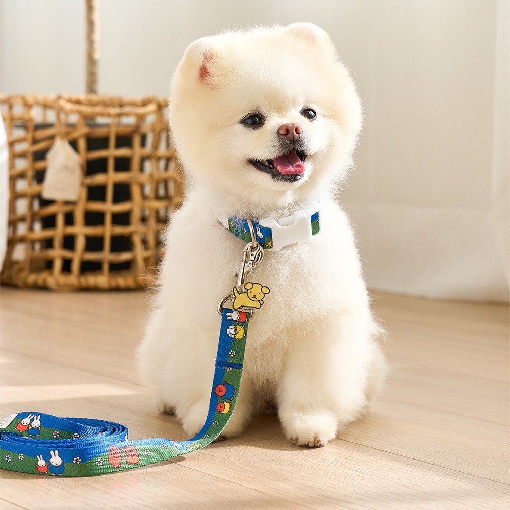 Noutti Miffy 森林日常牽繩