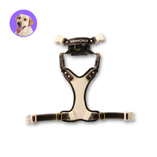 Auskommen 胸背帶 鉑金黑/灰