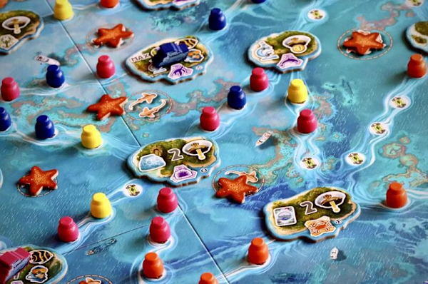 珊瑚計劃 REEF PROJECT 繁體中文版