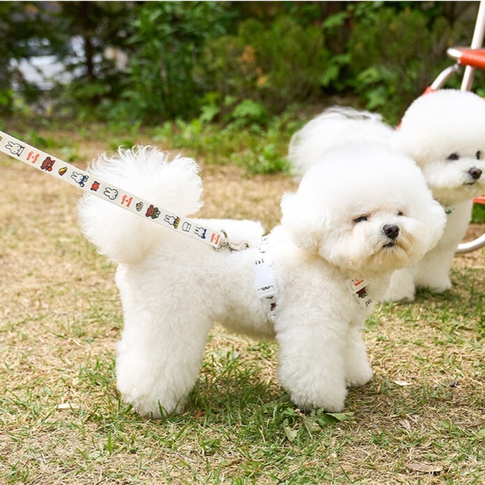 Noutti Miffy 美味主廚牽繩