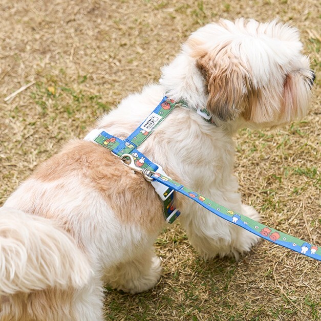 Noutti Miffy 家族H胸背