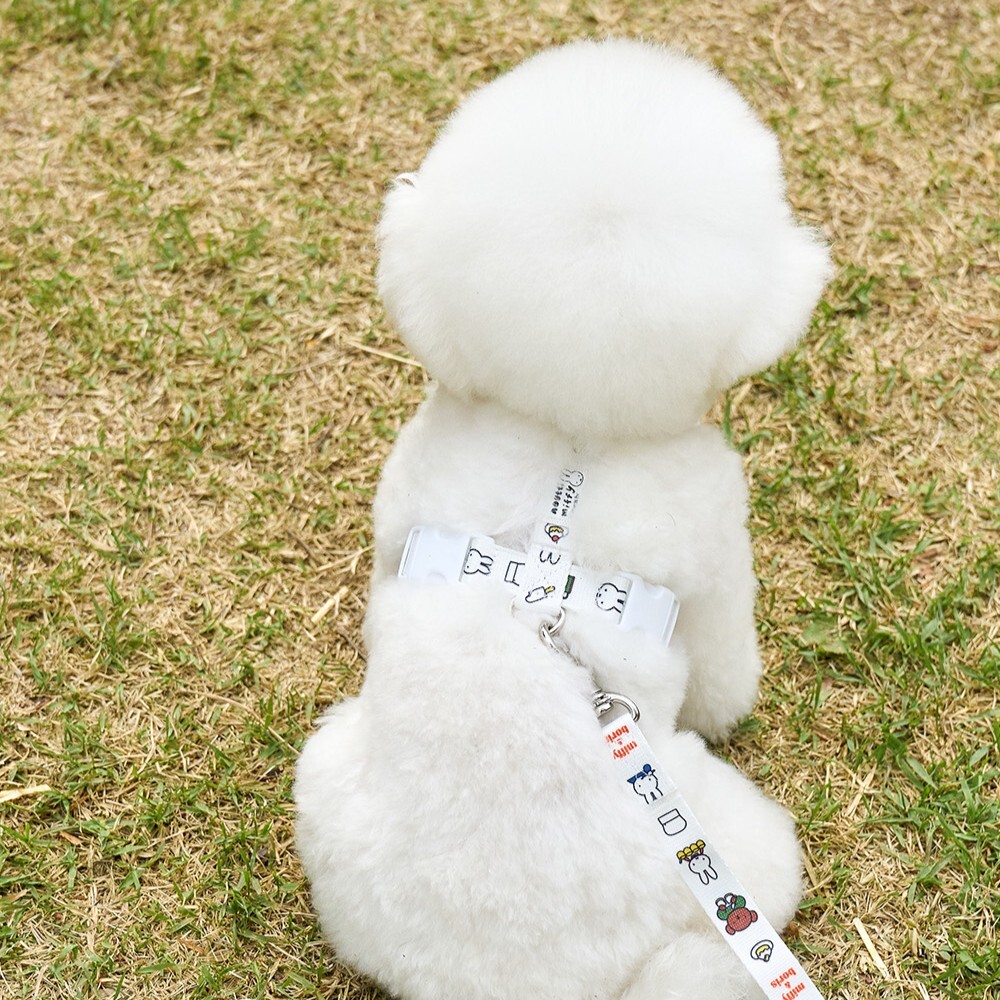 Noutti Miffy 家族H胸背