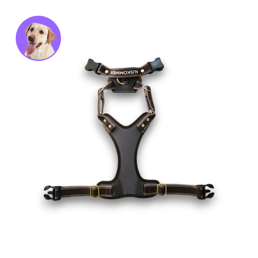 Auskommen 胸背帶 鉑金黑/灰