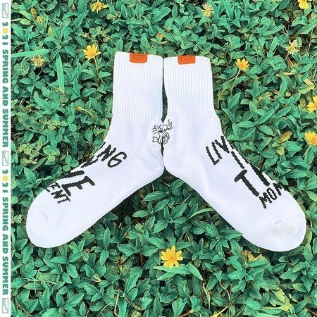 Sight 鳥抽煙長襪 白色