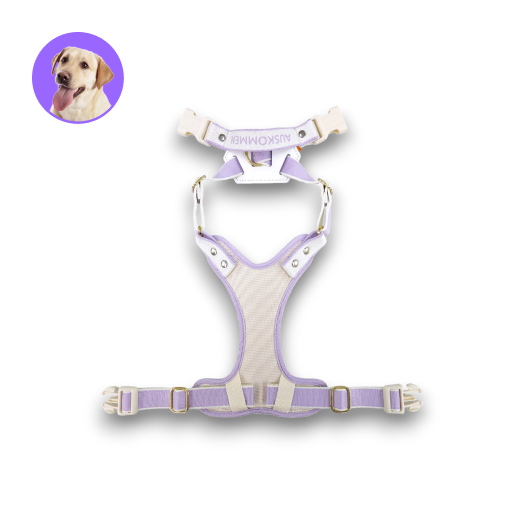 Auskommen 胸背帶 玫瑰金＆粉霧紫