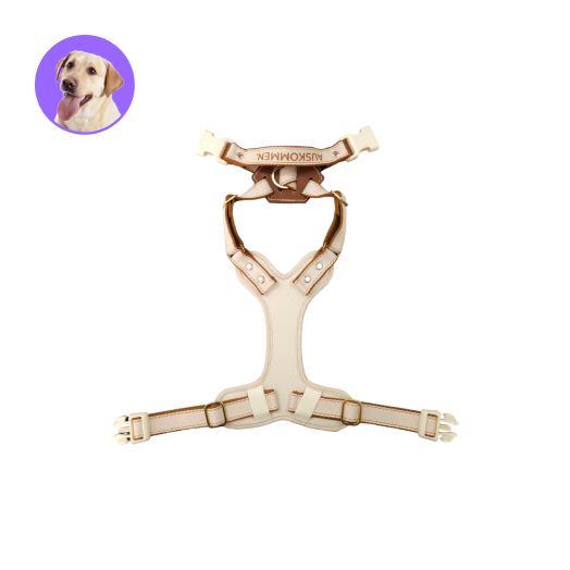 Auskommen 胸背帶 米杏色/咖啡色