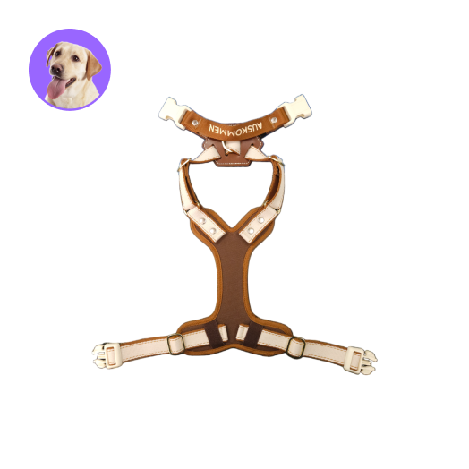 Auskommen 胸背帶 米杏色/咖啡色