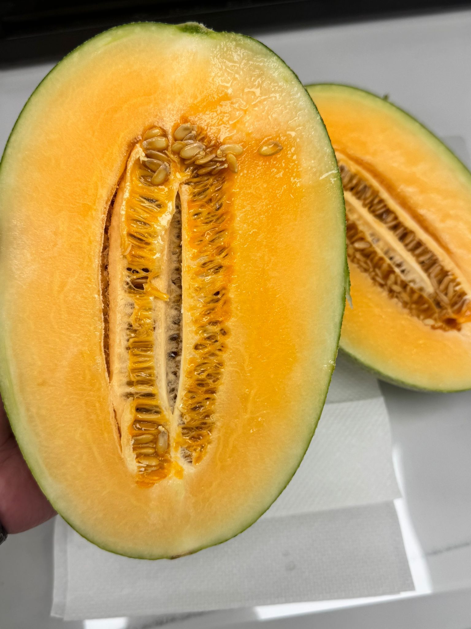 樓蘭香橙肉蜜瓜/2KG