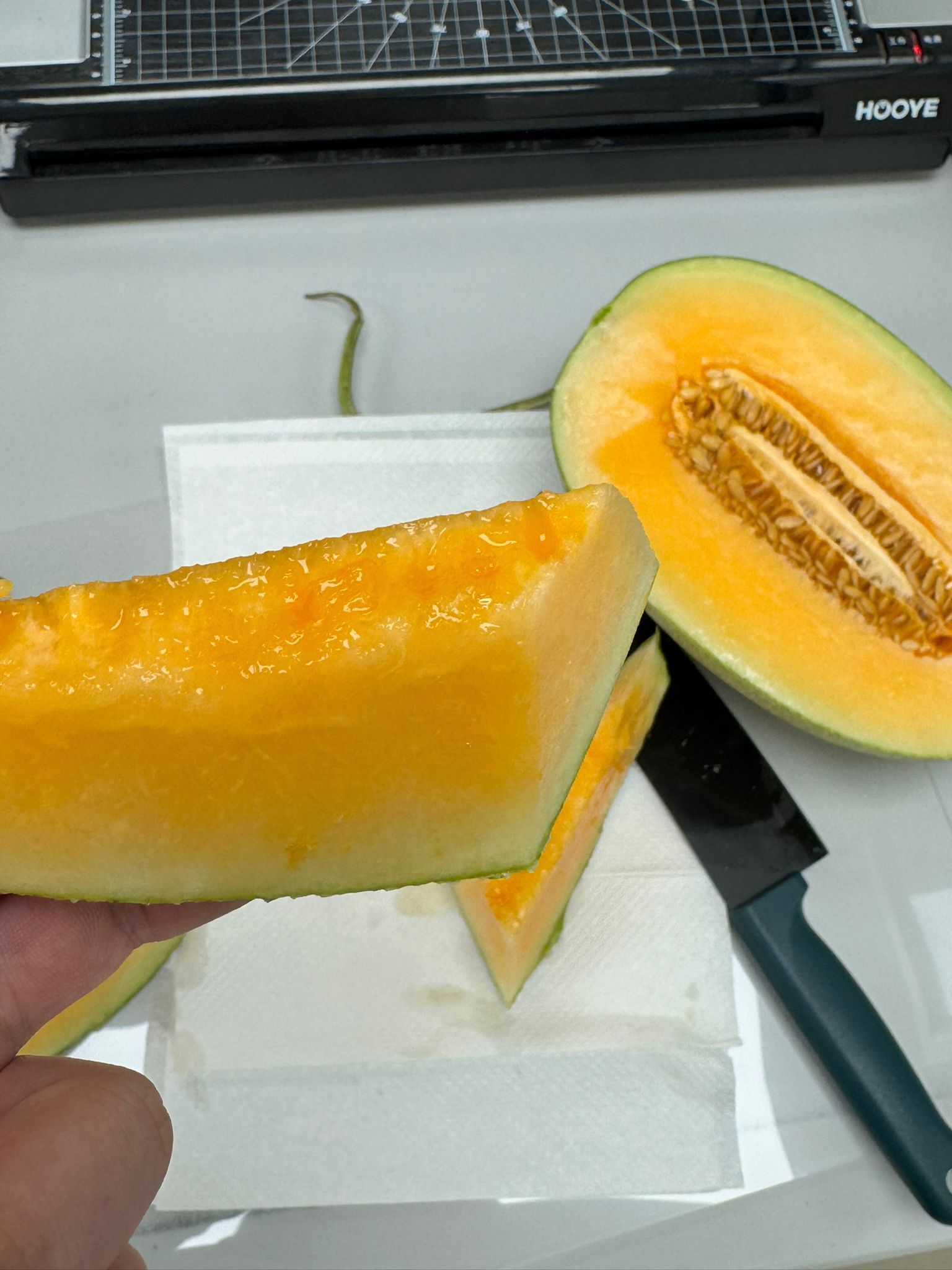 樓蘭香橙肉蜜瓜/2KG