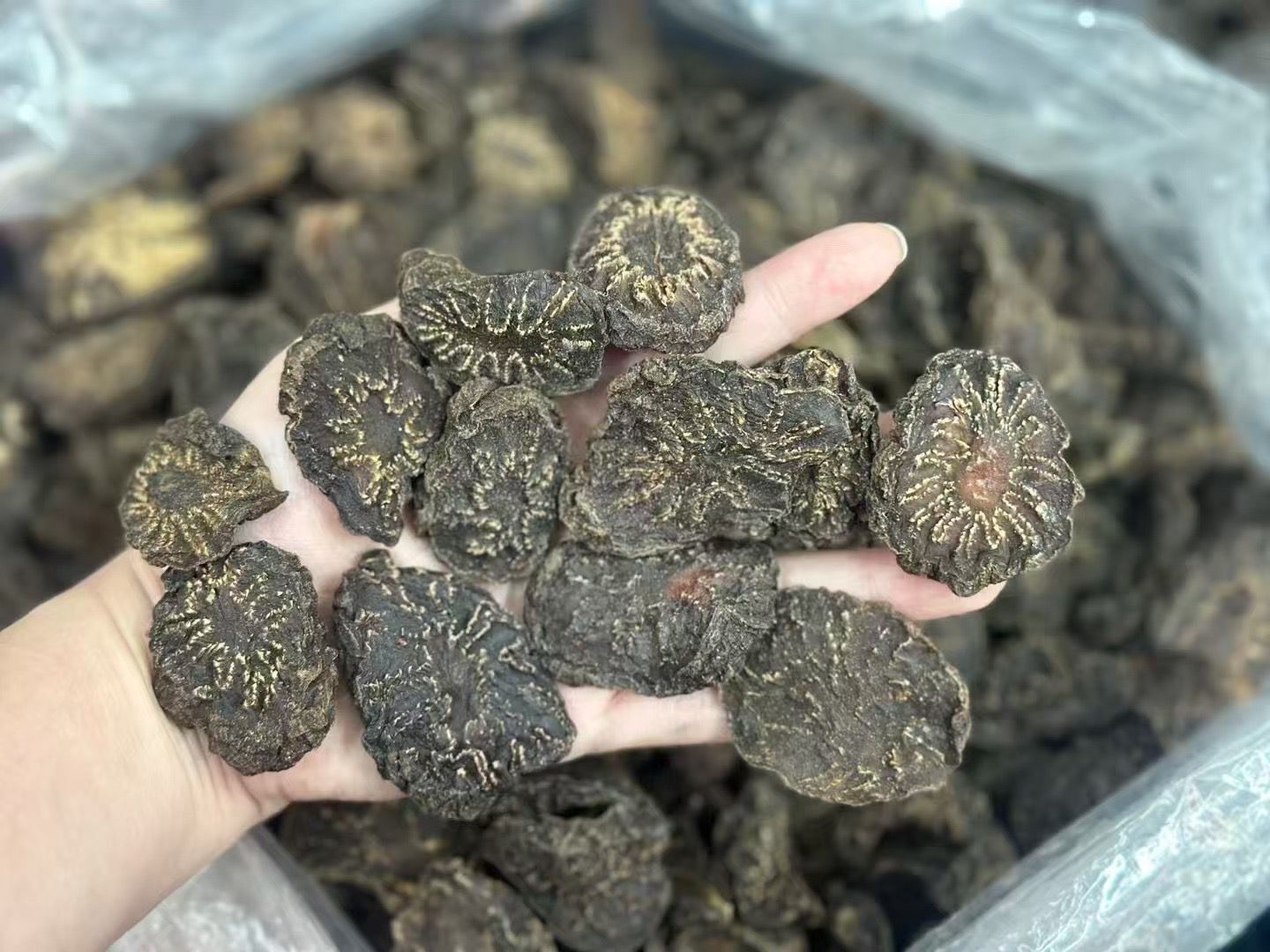 (2972)肉丛蓉片500g