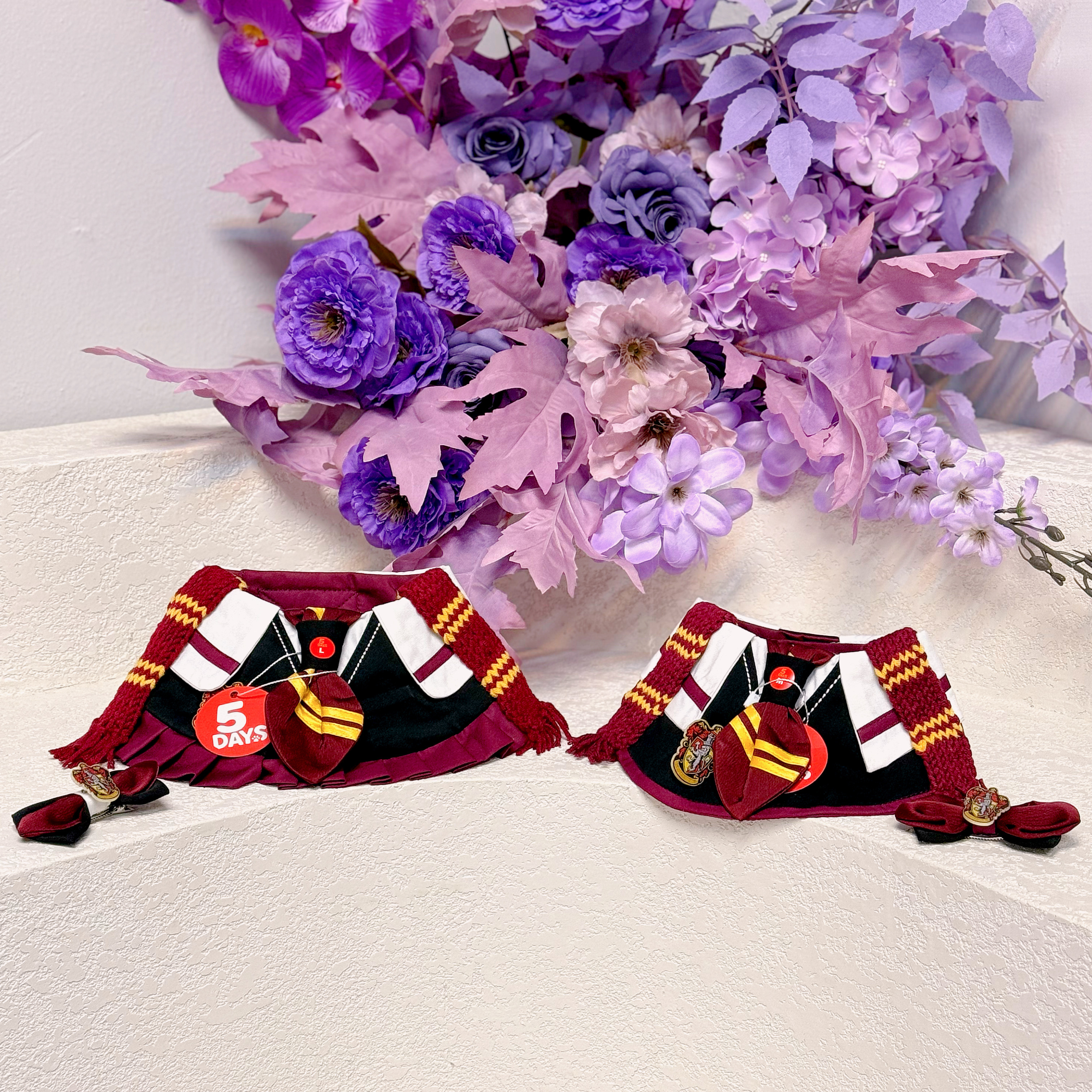 寵物魔法學院造型|5Days寵物服飾