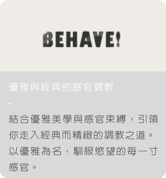 bdsm sm道具 sm調教道具 sm玩具 精緻SM用品 高級sm道具