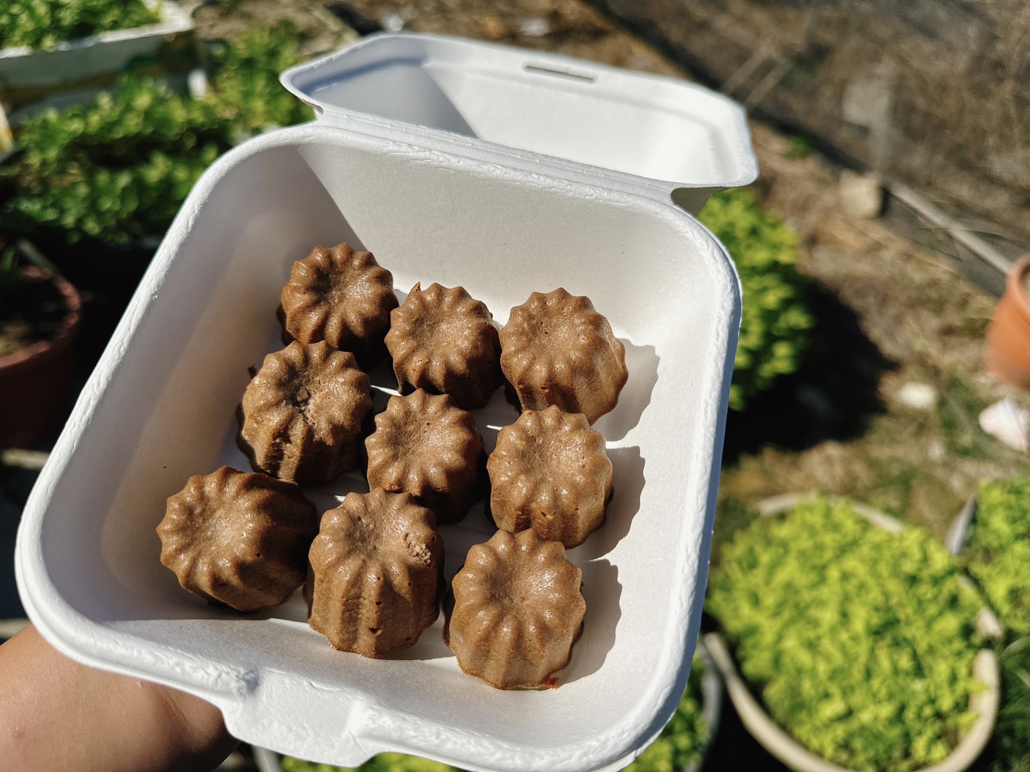 《預購》🌟迷你可麗露🌟造型鮮食🌟寵物可食用🌟採手工製作