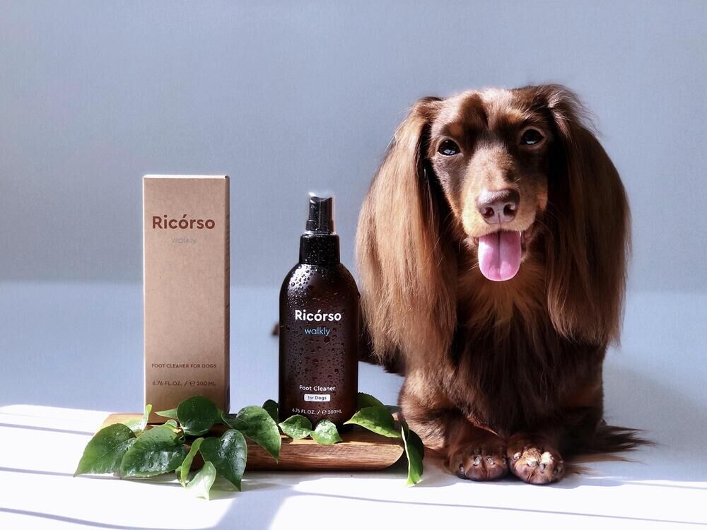 Ricórso • Walkly 足部乾洗噴霧 ⛤ 200ml|清潔及保濕修護雙效｜只限狗狗適用
