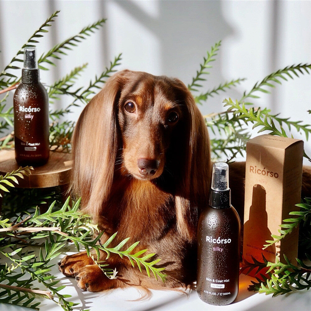 Ricórso-Silky 絲滑皮膚&毛髮噴霧 200ml｜解結護毛 專為長毛狗狗而設｜只限狗狗適用