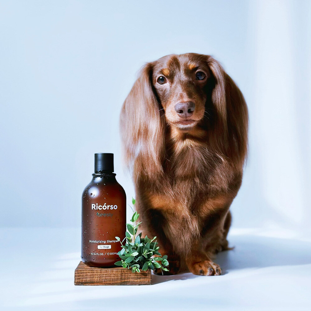 Ricórso • Foresty 森林低敏保濕沖涼液 ⛤ 300ML|保濕清爽 低敏配方｜只限狗狗適用