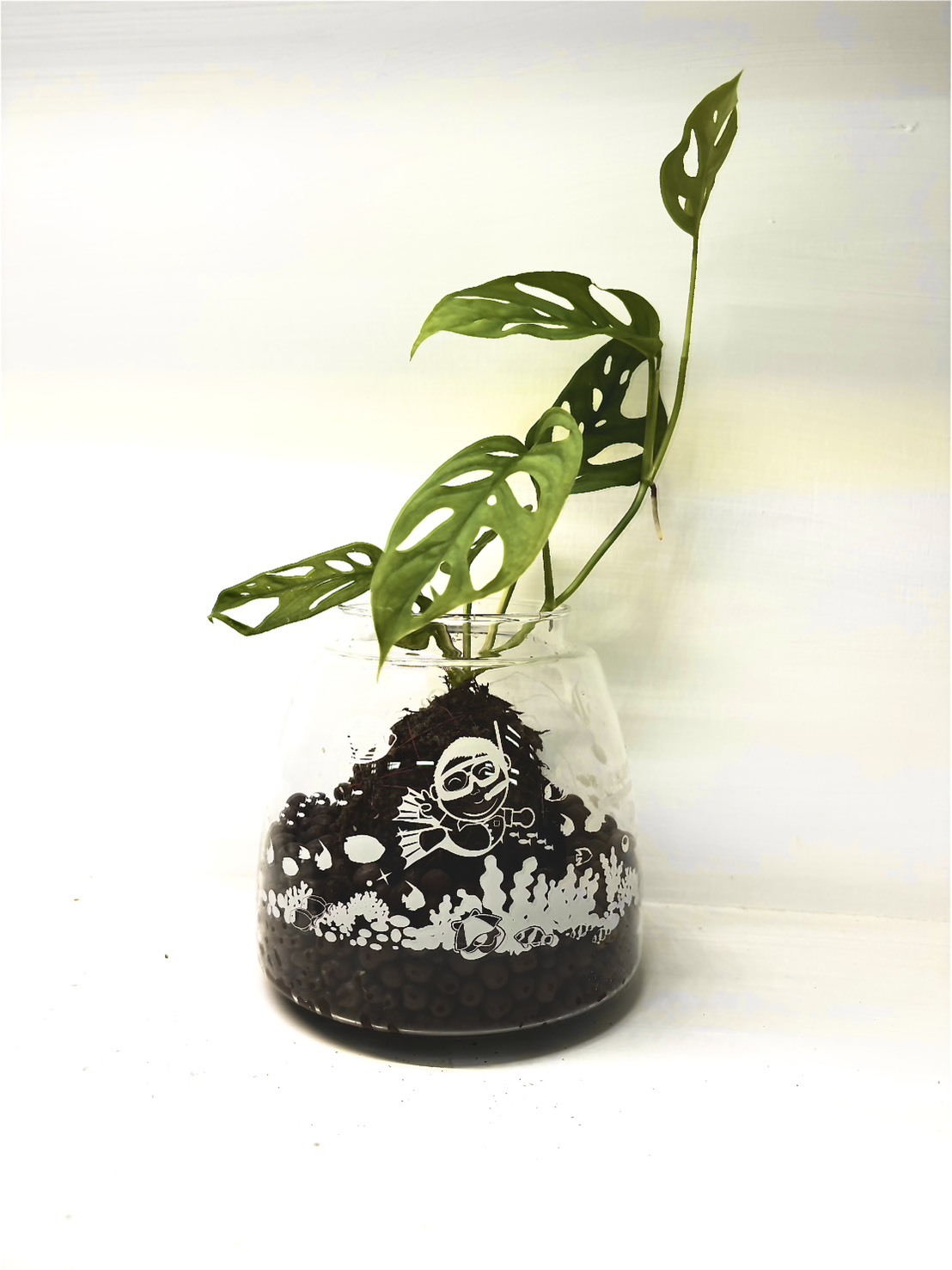 草屯院|洞洞蔓綠絨苔球玻璃盆栽組