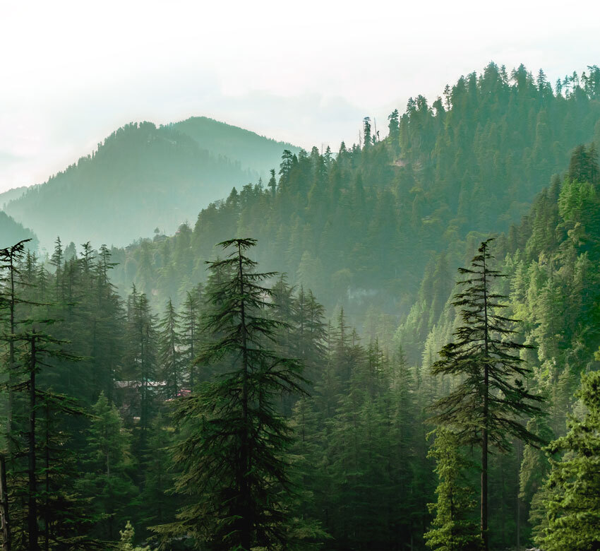 森森不息單方精油系列