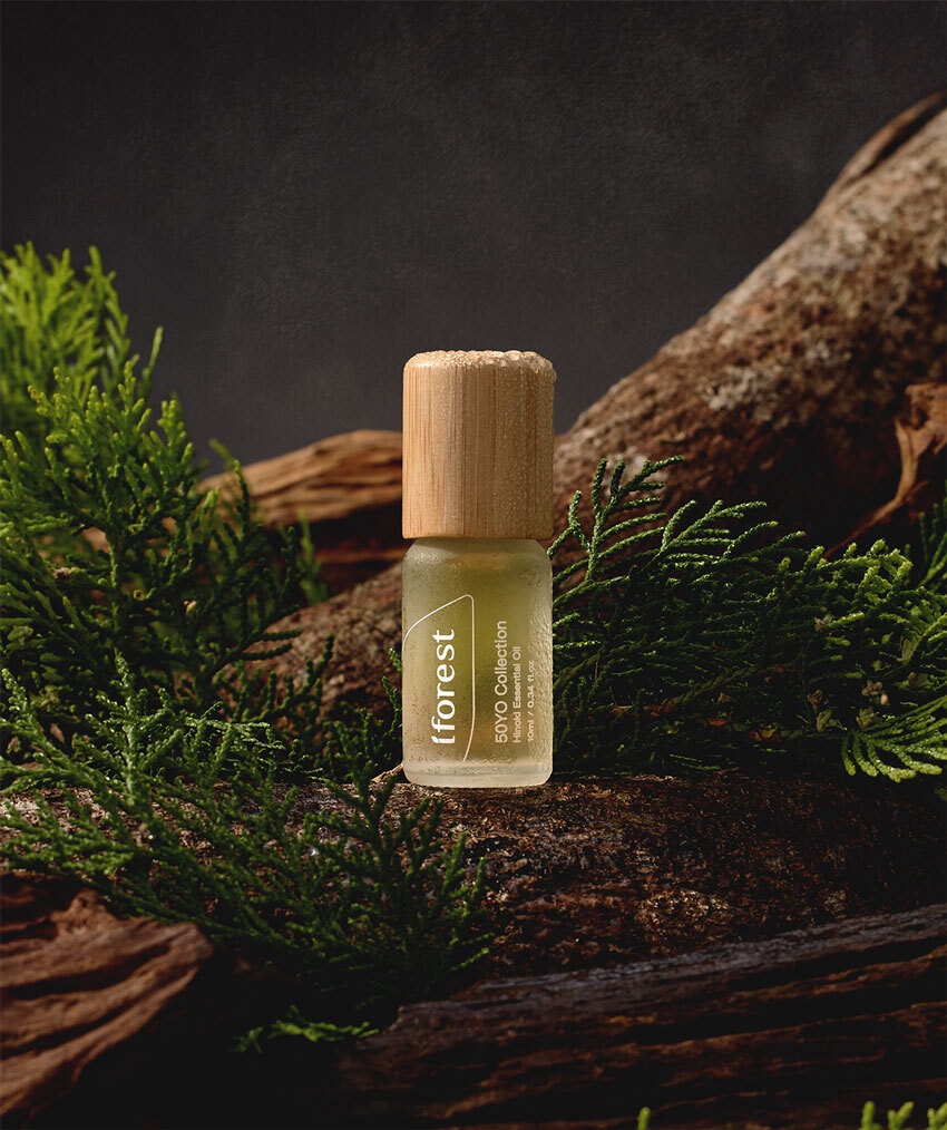 典藏50年黃檜精油