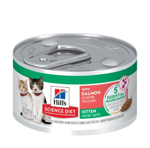 Hill's Science Diet With Salmon Canned Food For Kitten 2.9oz #10806
