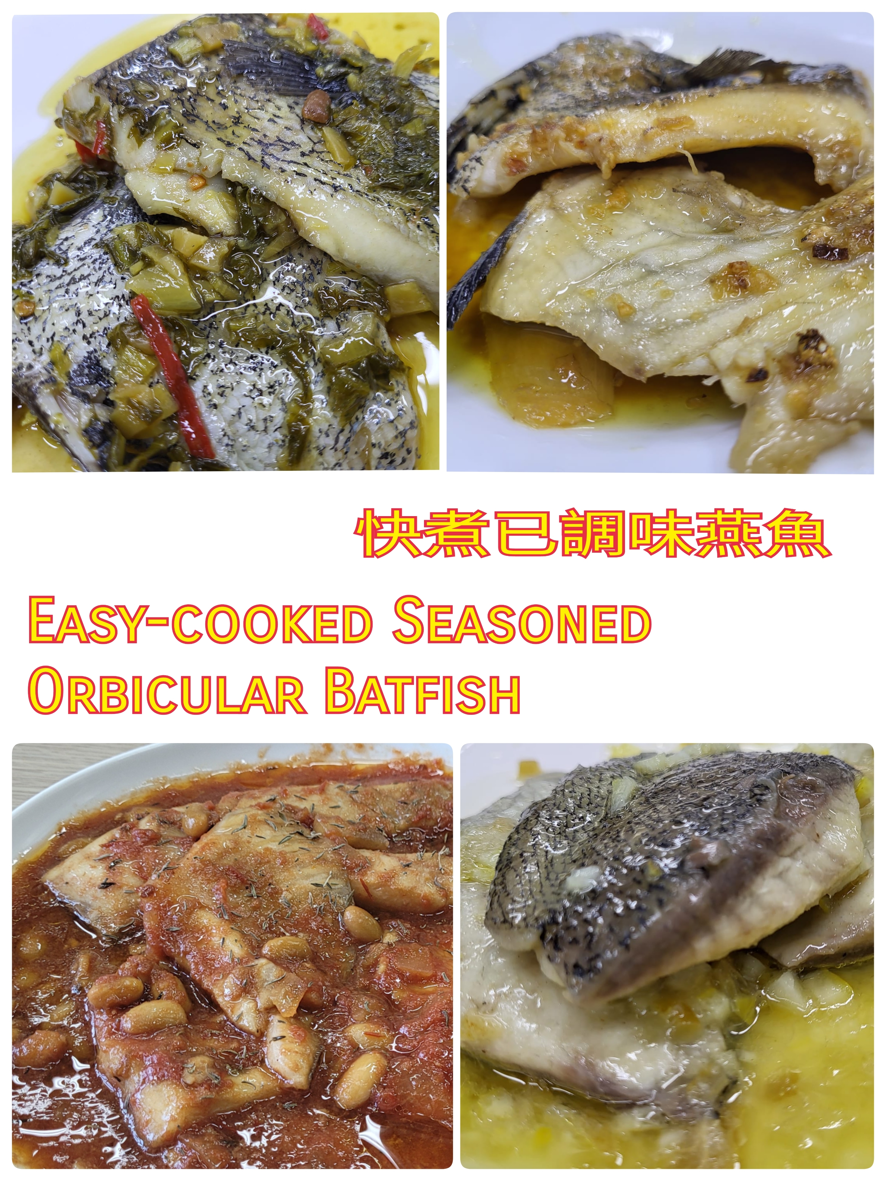 快煮已調味燕魚優惠套餐 (任何4款)