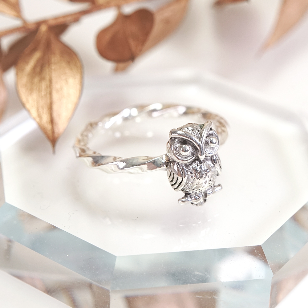 睿智貓頭鷹 方扭設計 925純銀戒指 22週年紀念設計