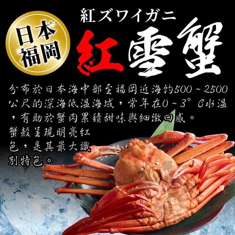 分布於日本福岡深海低溫海域，有助於蟹肉累積甜味與細緻口感