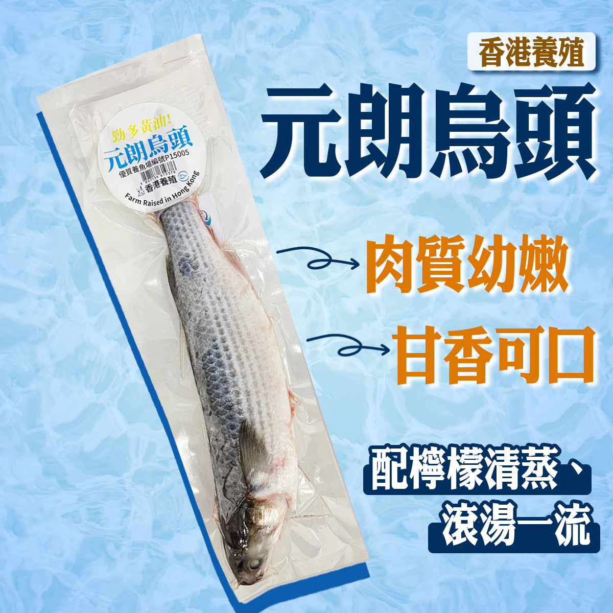 元朗烏頭 (約300-350g)│香港養殖│肉質嫰滑│BBQ (急凍)