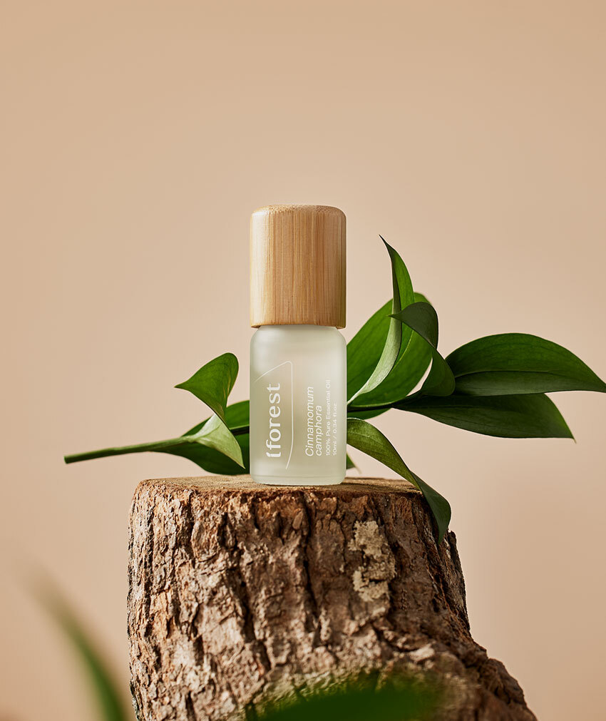 經典台灣白樟精油