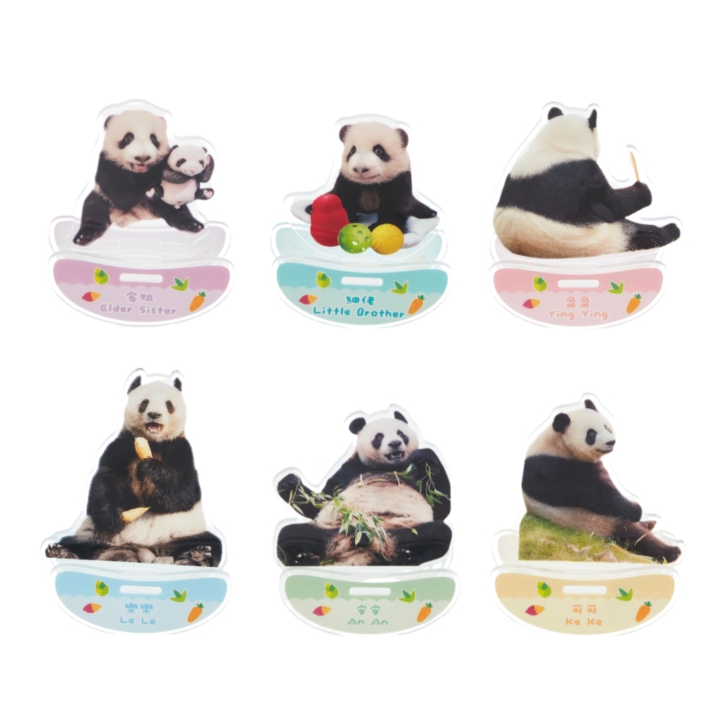 Giant Panda Acrylic Stand Blind Box